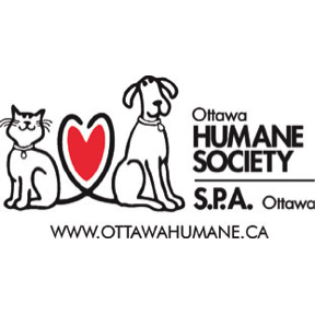Chair of Strategic Planning Committee, Ottawa Humane Society Board of Directors